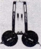 S-ASE-M2.JPG - 23,622BYTES