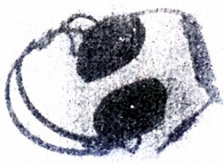 SH-31.JPG - 61,922BYTES