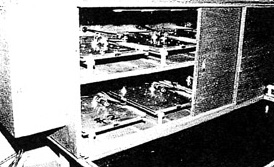 FACTORY-8.JPG - 42,392BYTES