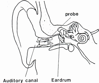 ED-1-2.JPG - 50,791BYTES