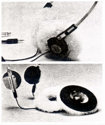ESKIMO-1.JPG - 97,112BYTES