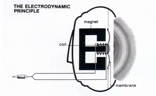 EX1.JPG - 39,908BYTES