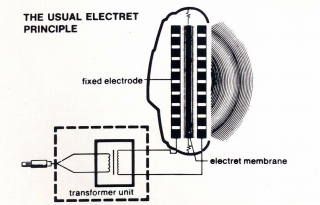 EX3.JPG - 46,661BYTES