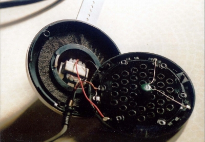 HORN1.JPG - 96,527BYTES