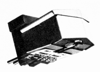 MARKV-EE-2.JPG - 37,978BYTES