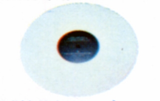 TS-10.JPG - 27,453BYTES