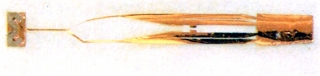 S-DC-2.JPG - 21,414BYTES