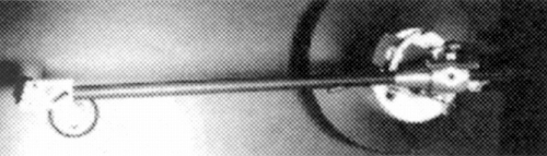 FOOT.JPG - 52,956BYTES