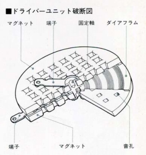Y-ORSO.JPG - 47,911BYTES