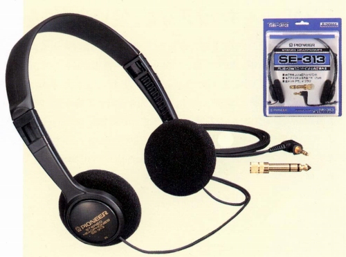 SE-313.JPG - 98,880BYTES