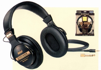 SE-919D.JPG - 72,005BYTES
